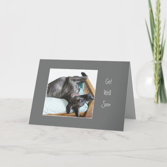 Get Well Soon Fun Great Dane Dog Sleeping Humour Card (Front)