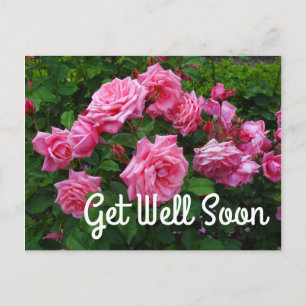 Get Well Soon Gene Boerner Rose #2 Postcard