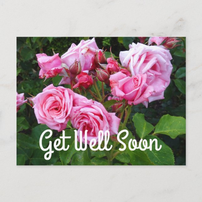 Get Well Soon Gene Boerner Rose #3 Postcard (Front)