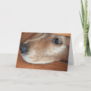 Get Well Soon Golden Retriever Peeking Under Door Card