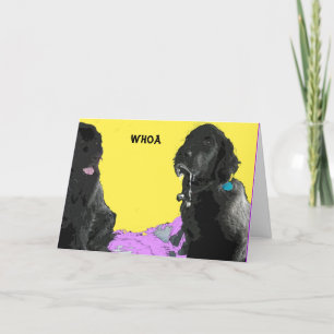 Get well soon Greeting Card