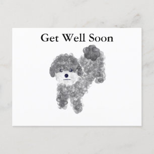 Get Well Soon Grey Poodle #1 Postcard
