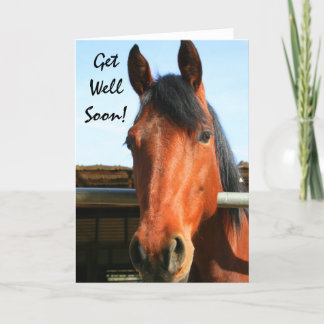 Get Well Soon horse greeting card