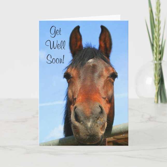 Get Well Soon horse greeting card (Front)