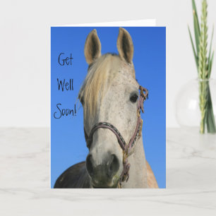 Get Well Soon horse greeting card