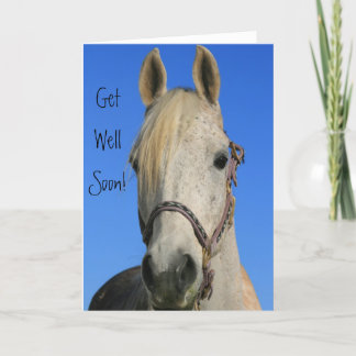 Get Well Soon horse greeting card