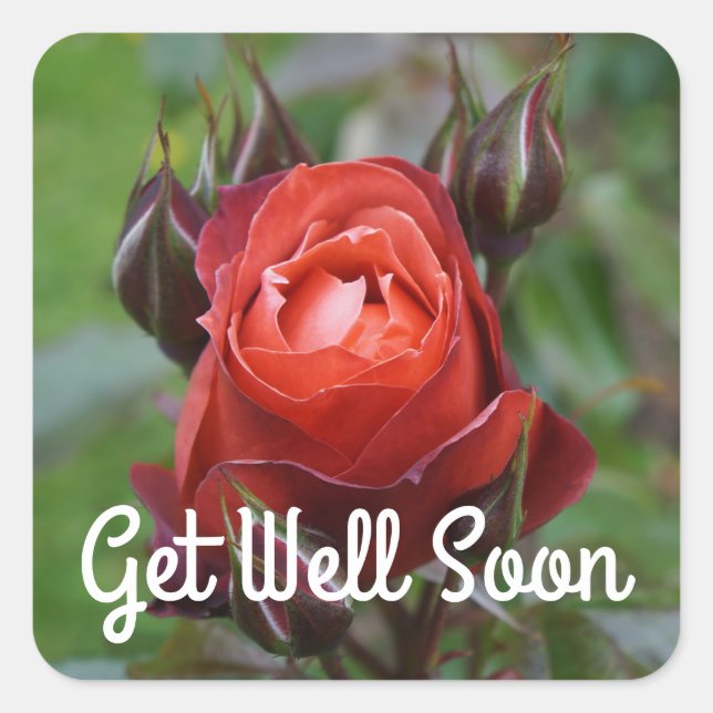 Get Well Soon Hot Cocoa Rose #1 Stickers (Front)