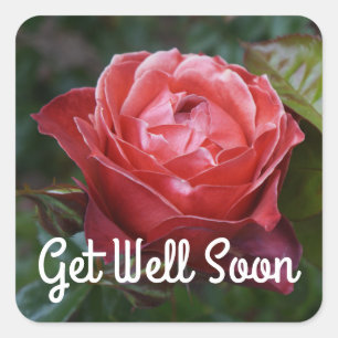 Get Well Soon Hot Cocoa Rose #2-1 Stickers