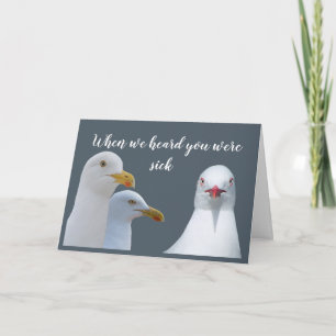 Get Well Soon Humour From all of Us Flock Seagulls Card