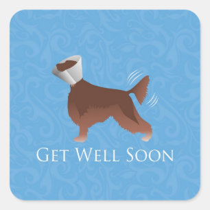 Get Well Soon - Irish Setter Male Square Sticker