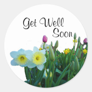 Get Well Soon Large-Cupped Daffodil #2 Stickers