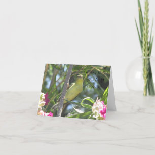 Get Well Soon Lesser Goldfinch Card