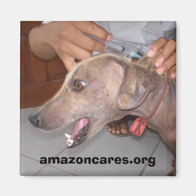 Get Well Soon!  Magnet (Front)