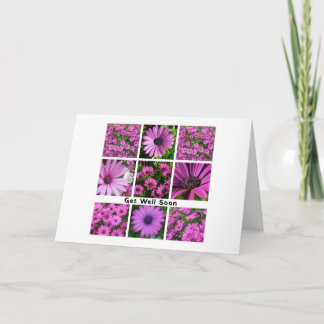 Get Well Soon Pink African Daisy Photograph Collag Invitation