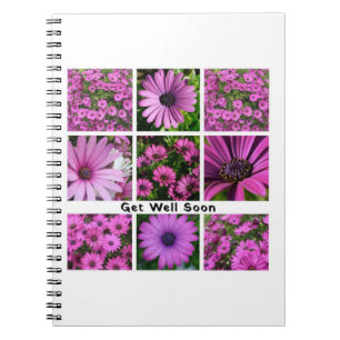 Get Well Soon Pink African Daisy Photograph Collag Notebook