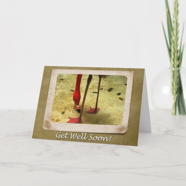 Get Well Soon Pink Flamingo Card (Front)