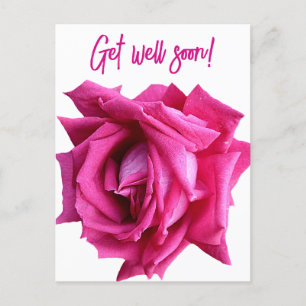 Get well soon pretty hot pink rose modern floral postcard