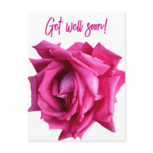 Get well soon pretty hot pink rose modern floral