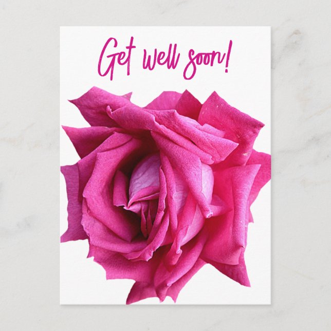 Get well soon pretty hot pink rose modern floral postcard (Front)