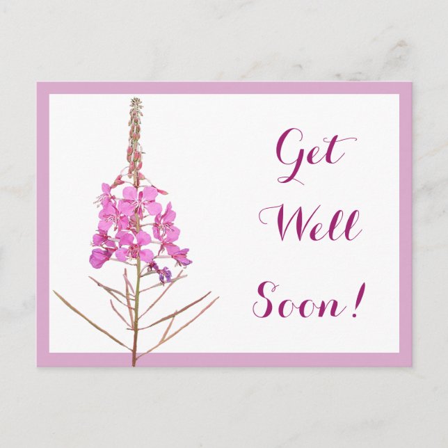 Get well soon pretty pink flowers beautiful floral postcard (Front)