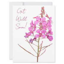 Get well soon pretty pink flowers simple floral