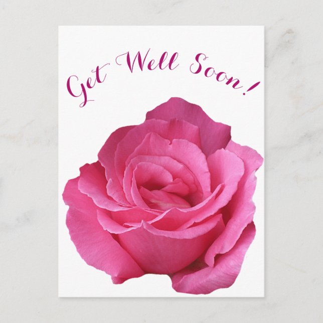 Get well soon pretty pink rose simple floral love  postcard (Front)