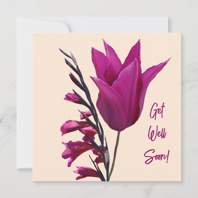 Get well soon pretty pink tulip flower floral cute holiday card (Front)