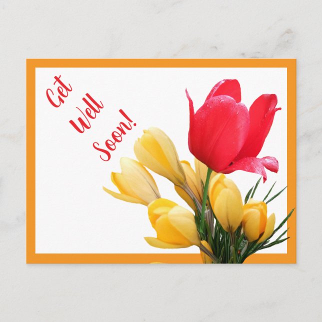 Get well soon pretty red tulip yellow crocus fun postcard (Front)