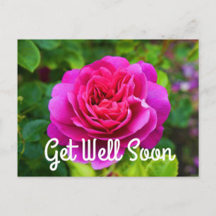 Get Well Soon Princess Anne Rose #1 Postcard