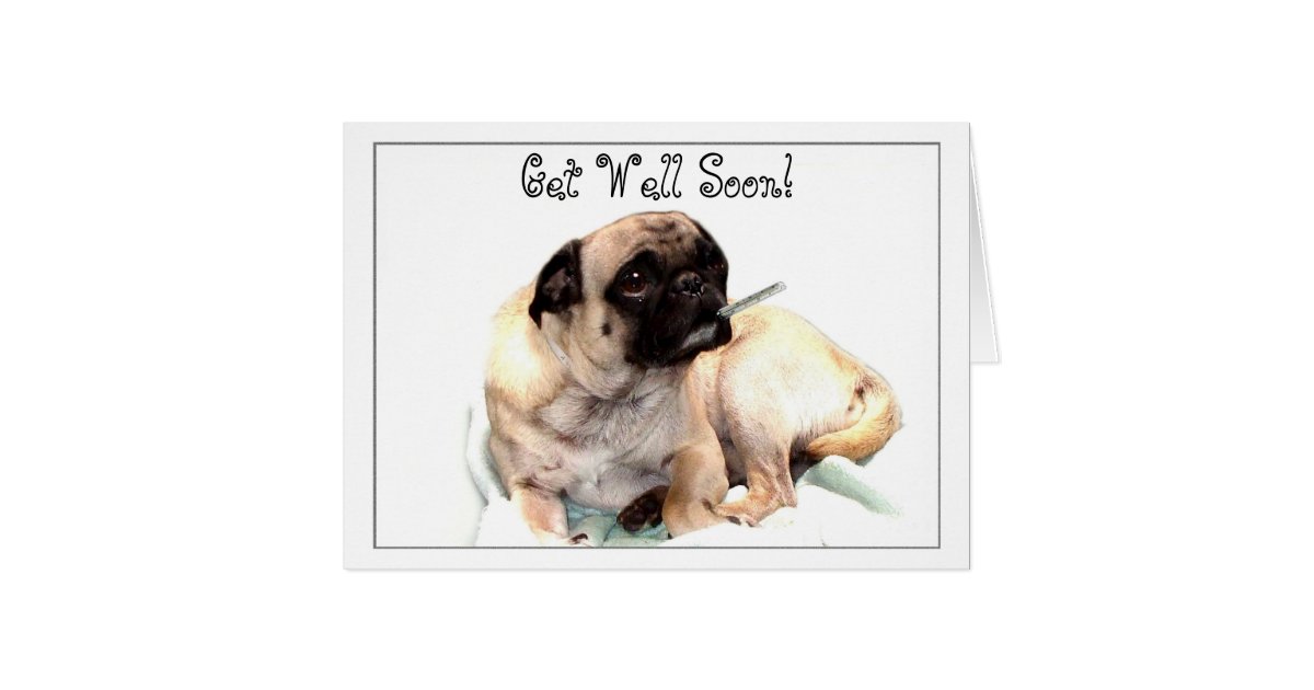 get well soon pug get well soon pug greeting card zazzle co uk get well soon pug get well soon pug greeting card zazzle co uk