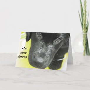 Get Well Soon Puppy Greeting card