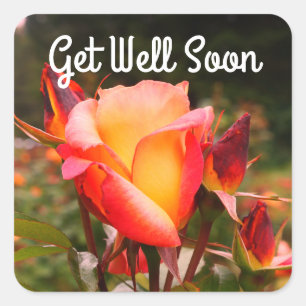 Get Well Soon Rainbow Sorbet Rose #1 Stickers