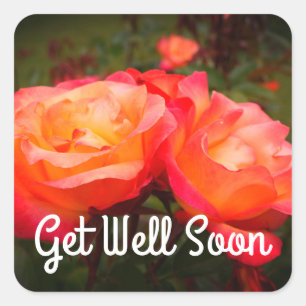 Get Well Soon Rainbow Sorbet Rose #3 Stickers