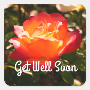 Get Well Soon Rainbow Sorbet Rose #5 Stickers