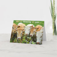 Get Well Soon  Ranch Farm Cattle Country Flowers