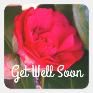 Get Well Soon Red Camellia Stickers