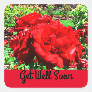 Get Well Soon Red Rose #1 Stickers
