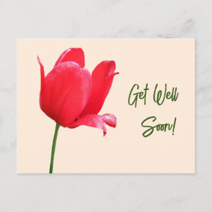 Get well soon red tulip minimalist floral boho  postcard