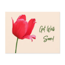 Get well soon red tulip minimalist floral boho