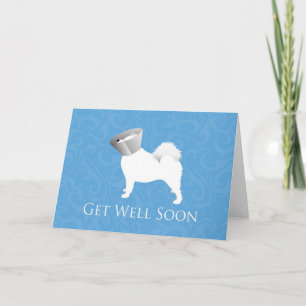 Get Well Soon - Samoyed Male Card