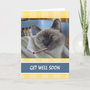 Get Well Soon, Sick Cat, Purrfect Recovery Card