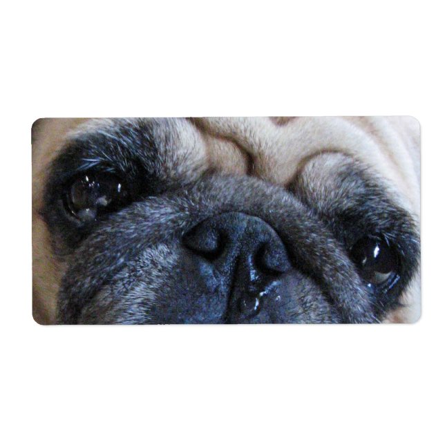 Get Well Soon Sick Pug Dog (Front)