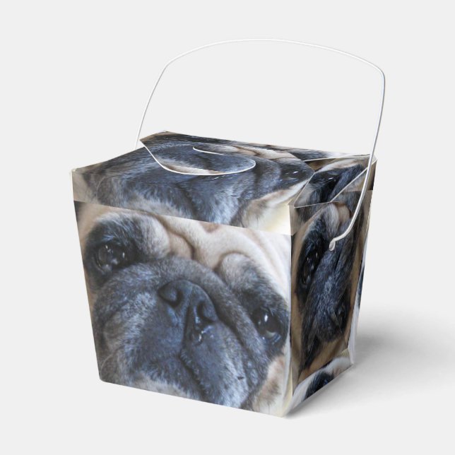 Get Well Soon Sick Pug Dog Favour Box (Front Side)