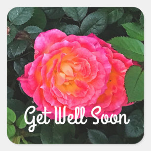 Get Well Soon Tiddly Winks Rose #1 Sticker