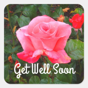 Get Well Soon Touch of Class Rose #1-2 Stickers