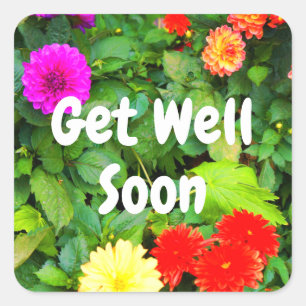 Get Well Soon Various Dahlias #1-1 Stickers