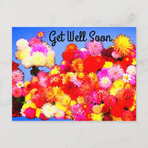 Get Well Soon Various Dahlias #2-2 Postcard