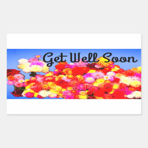 Get Well Soon Various Dahlias #2-3 Stickers