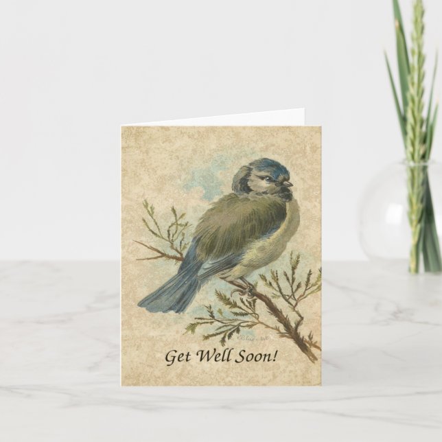 Get Well Soon, Vintage Bluetit Bird Card (Front)