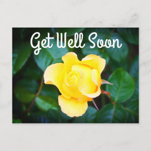 Get Well Soon Walking on Sunshine Rose #1 Postcard